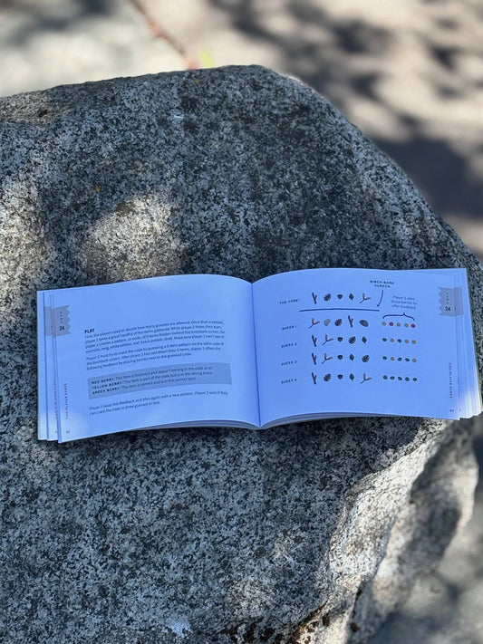 Sticks, Stones & Pinecones game and a book on a gray rock outdoors in sunlight.