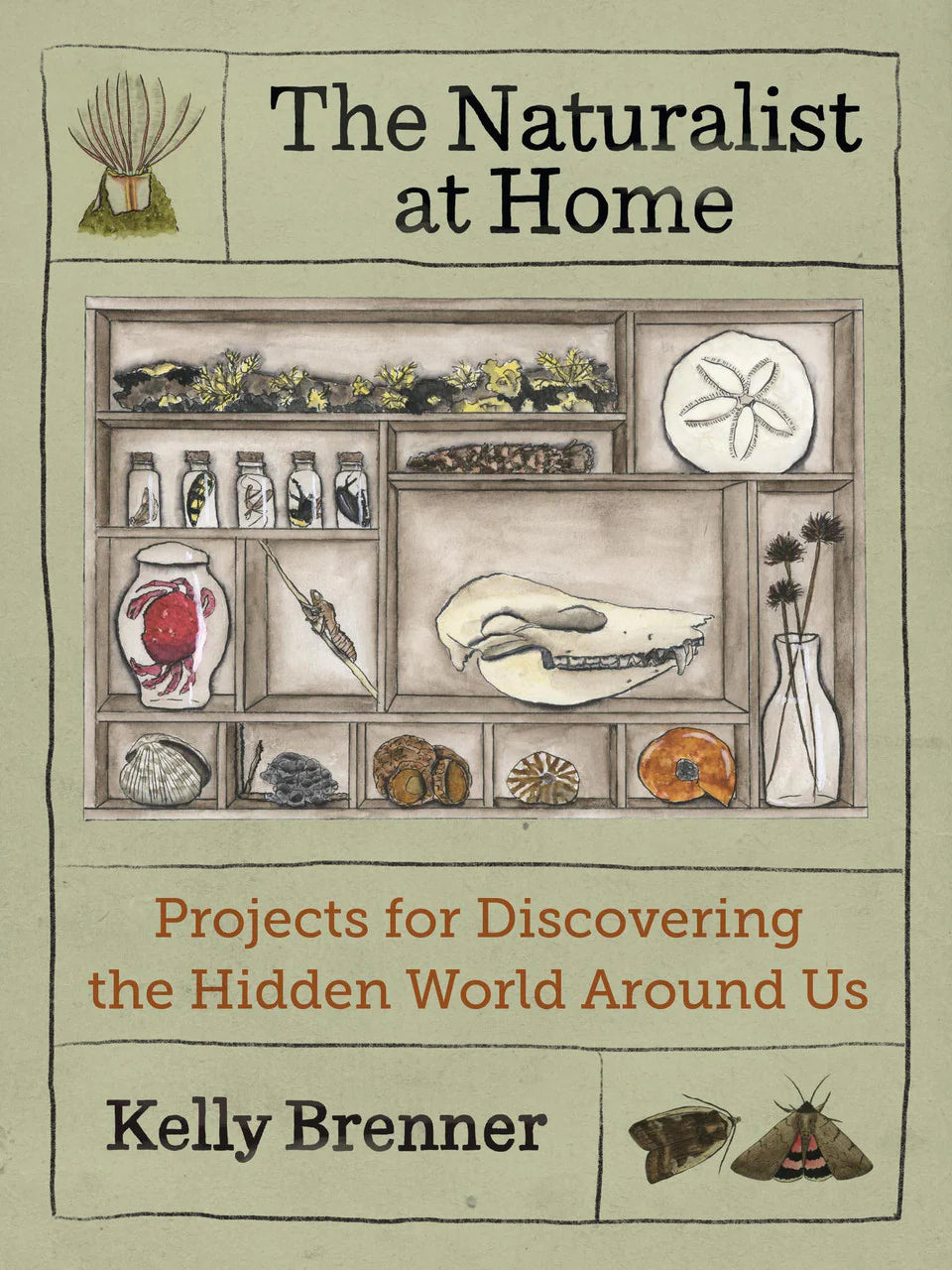 The Naturalist at Home book cover with natural objects, insects, and skull illustrations.