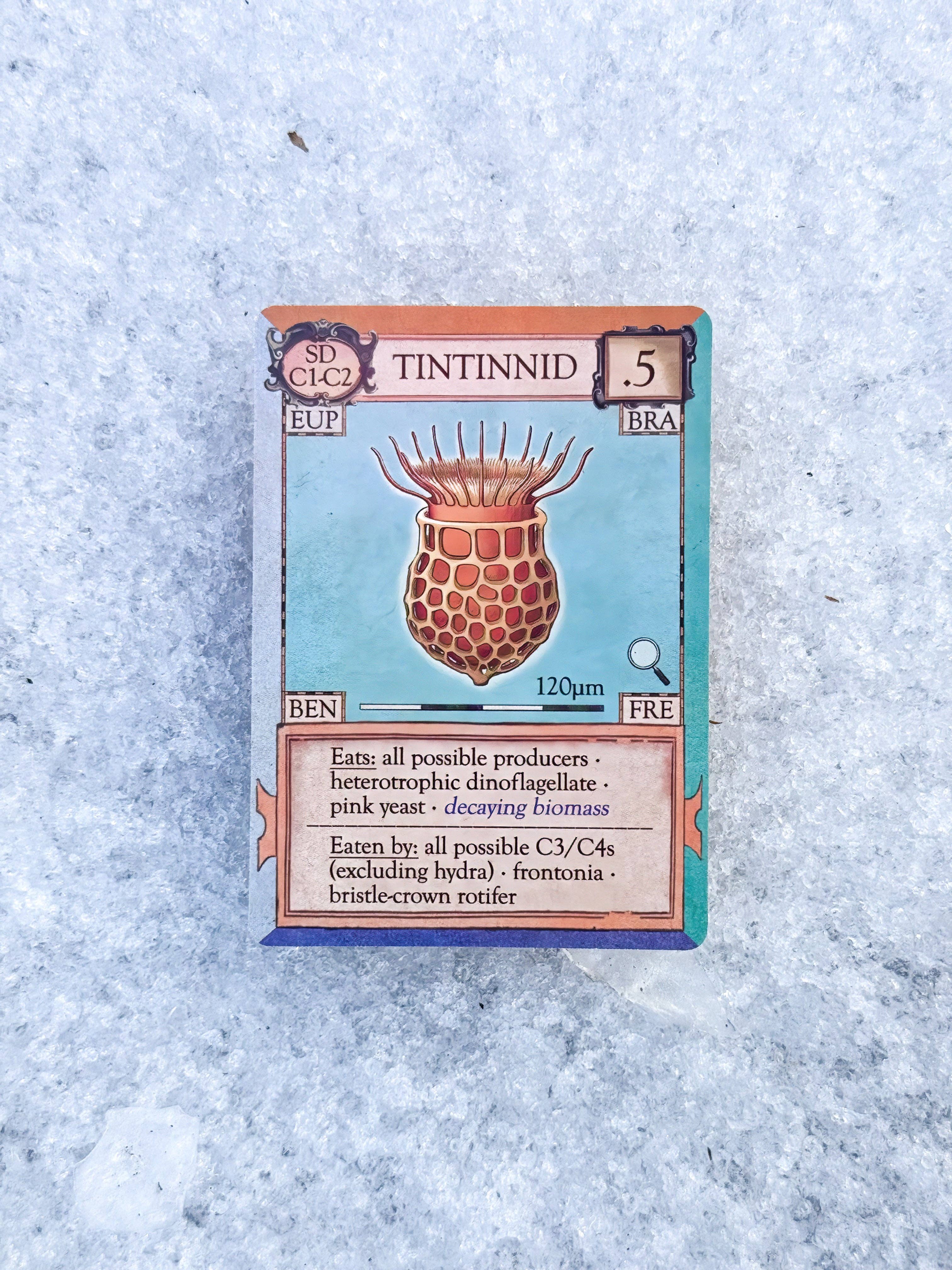 Ecologies: Marvelous Microbes card featuring tintinnid illustration, stats, and text.