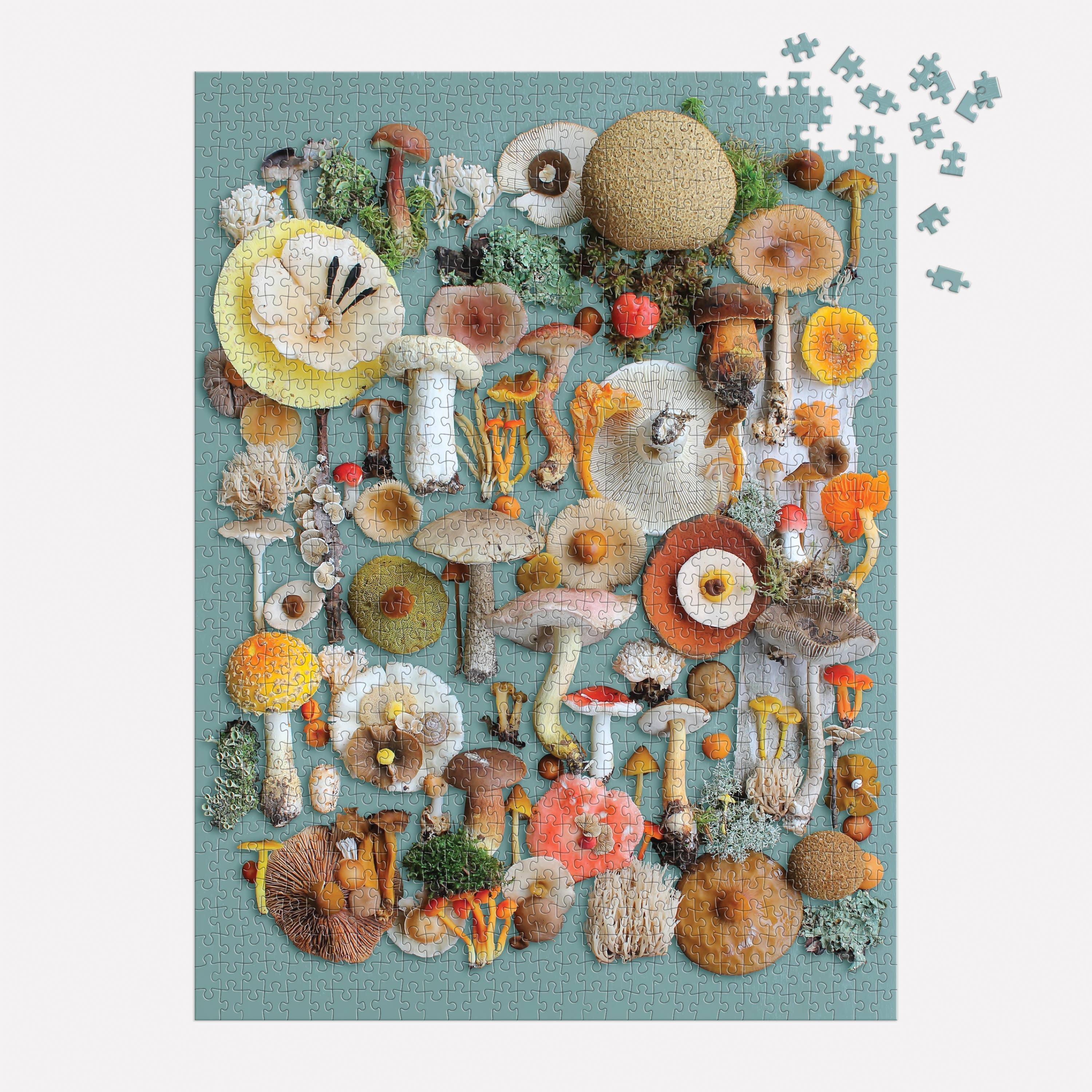 Foraged 1000 piece puzzle made from recycled paper, incomplete with pieces missing in the top right corner.
