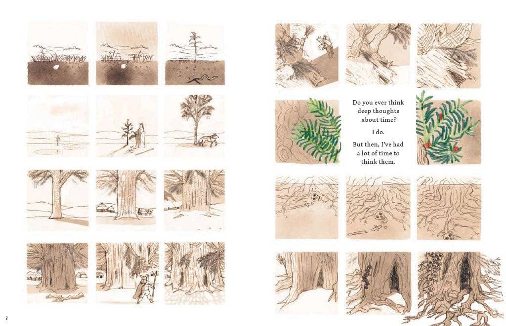 A Tree is a Time Machine book cover with comic panels depicting an old yew tree and ferns around a time quote.