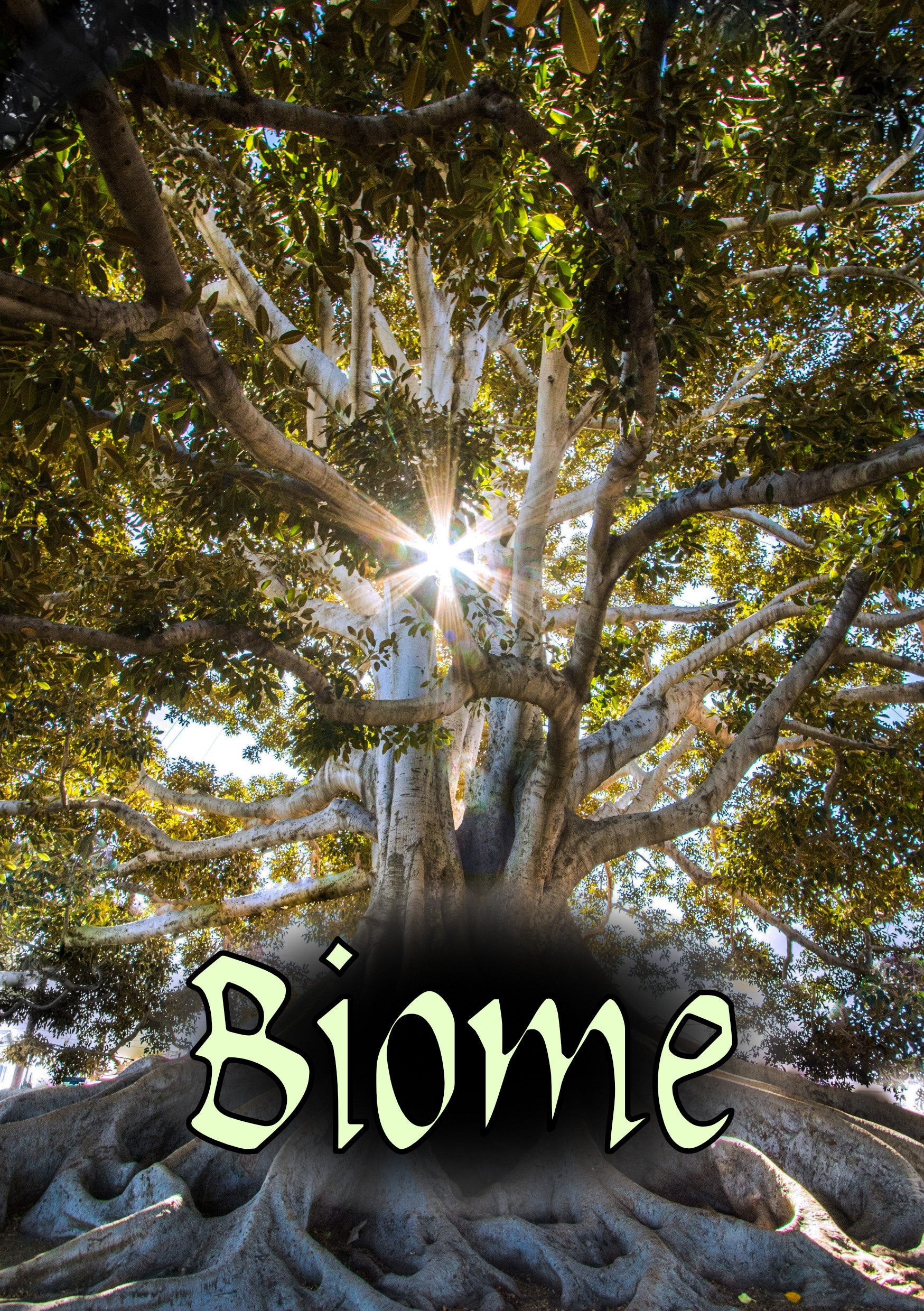 Biome ecosystem simulation logo with sunlight shining through tree branches in background.