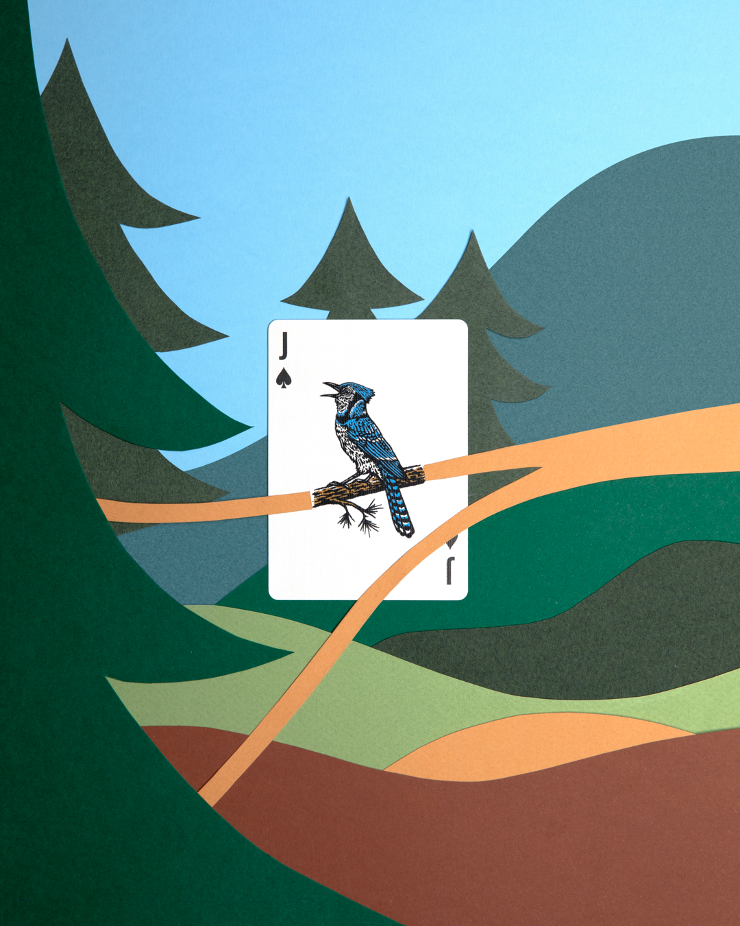 Jack of spades from a Smokey Bear playing card deck featuring a blue jay on a branch.