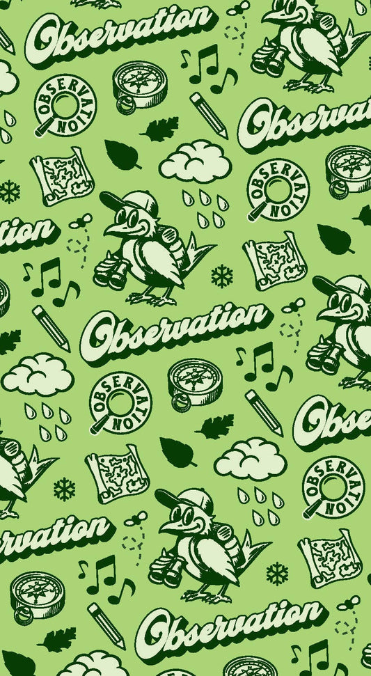 Family Outdoor Adventure Deck for kids’ nature activities, with bird and cloud design on packaging.
