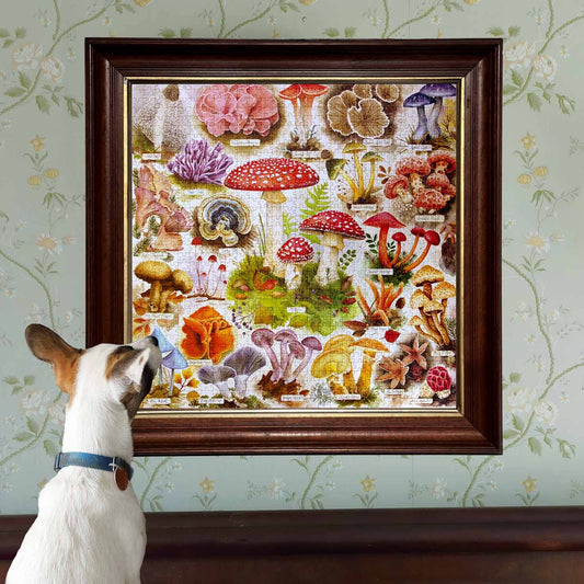 Bountiful Mushrooms 1000 Piece Puzzle displayed in a frame on a floral wallpapered wall with a small dog looking up.