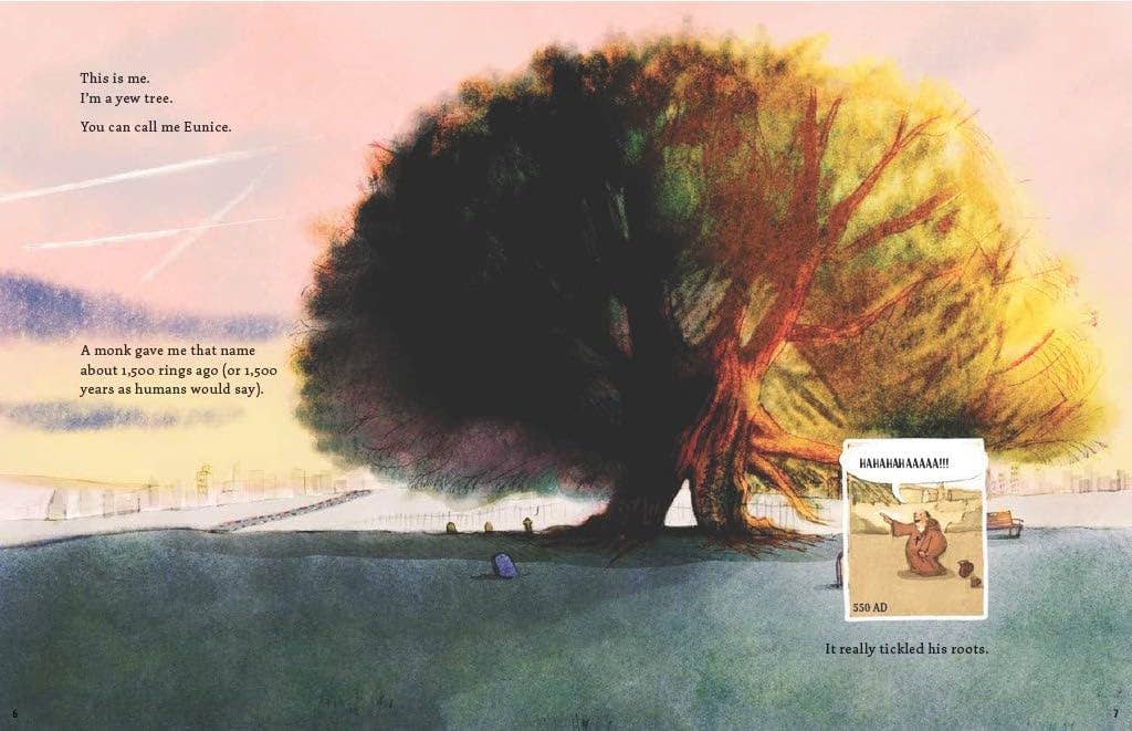 A large yew tree at sunset with inset of A Tree is a Time Machine comic showing monk and tree.