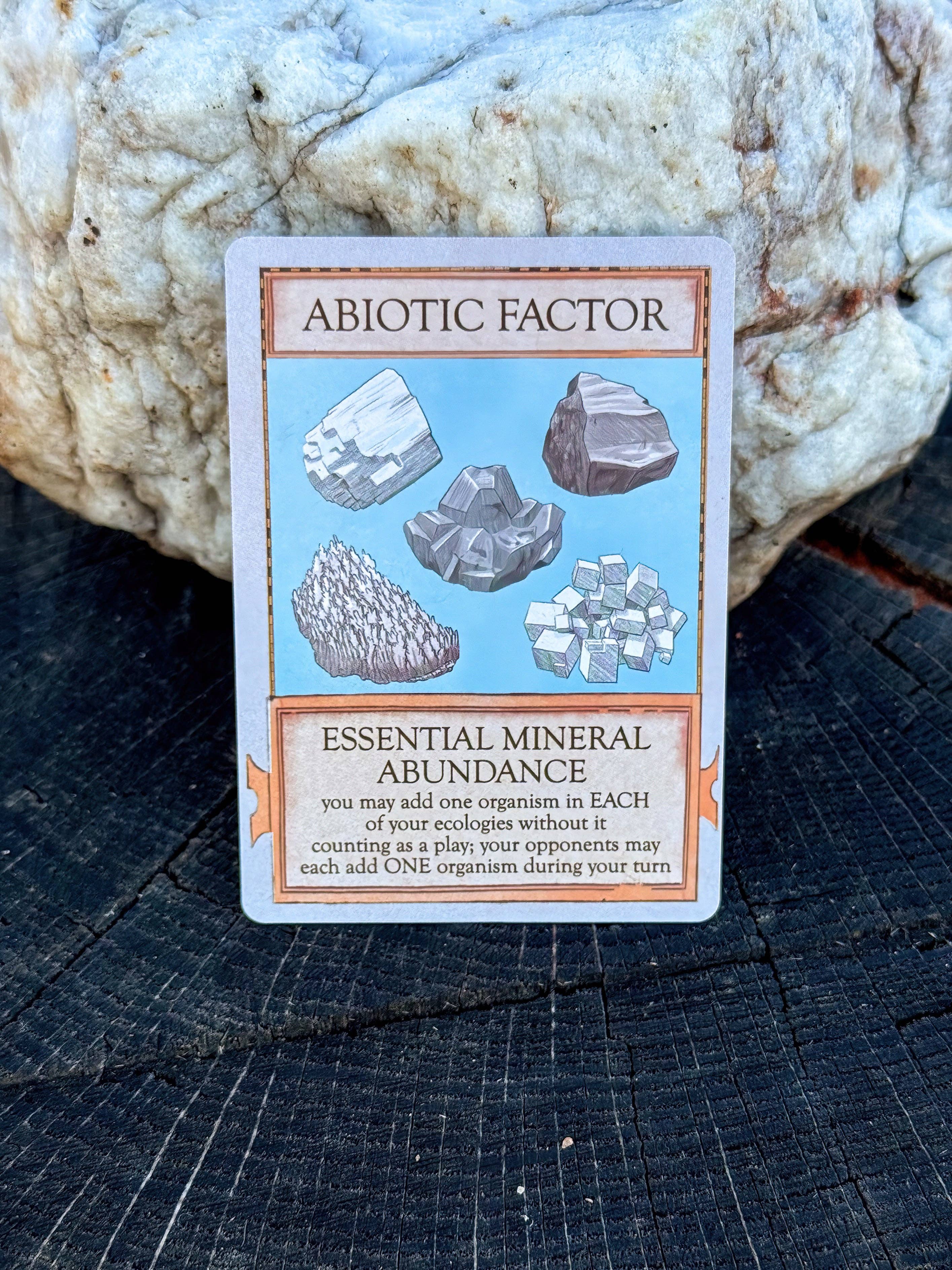 Ecologies: Marvelous Microbes science card game displayed with rock art on a tree stump next to a large white stone.
