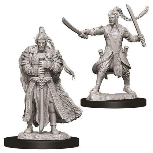 D&D NMU Female Elf Paladin W9 miniatures, two figures with swords.