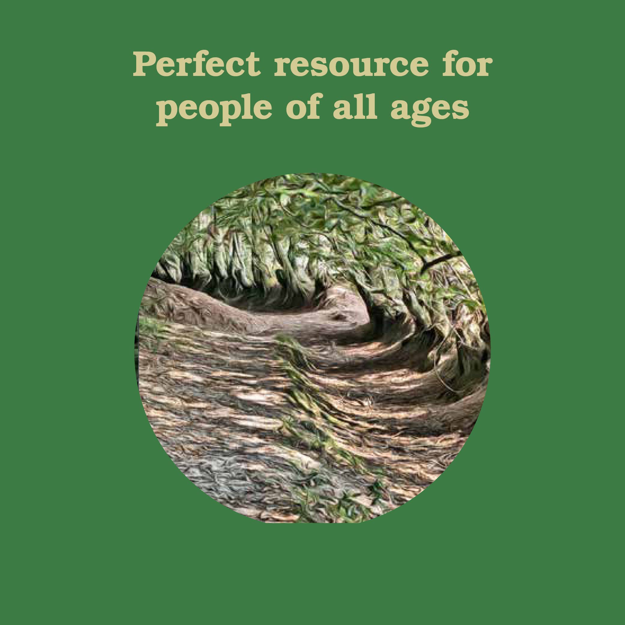 Forest School for Grown-Ups product with a circular forest path illustration and text on a green background.