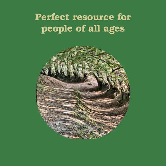 Forest School for Grown-Ups product with a circular forest path illustration and text on a green background.