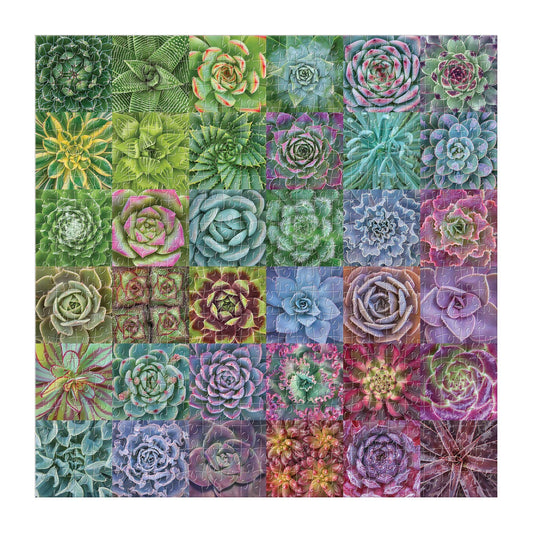 Succulent Spectrum 500 Piece Puzzle featuring 36 colorful succulents arranged in a 6x6 grid, by Galison.