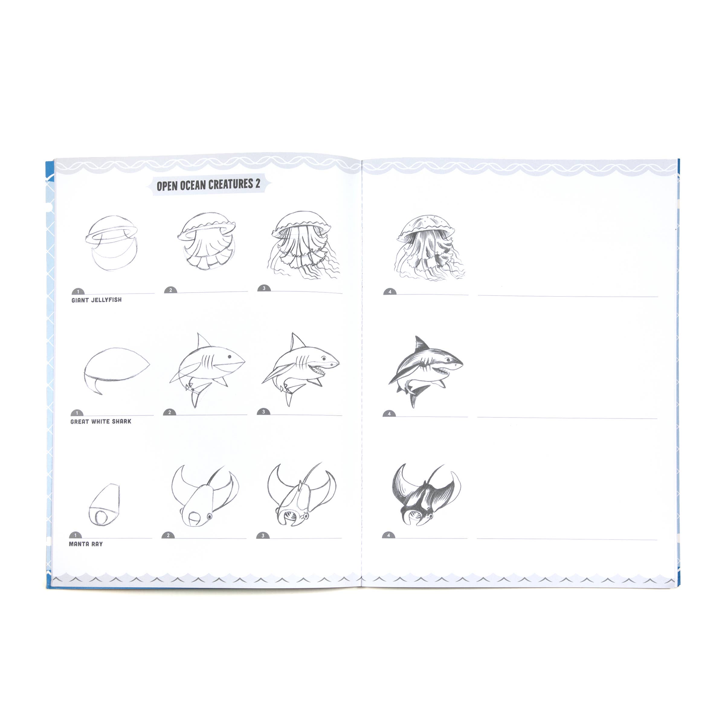 Learn to Draw Under the Sea with Stickers, includes jellyfish, great white shark, and manta ray sketching activities.