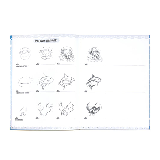 Learn to Draw Under the Sea with Stickers, includes jellyfish, great white shark, and manta ray sketching activities.
