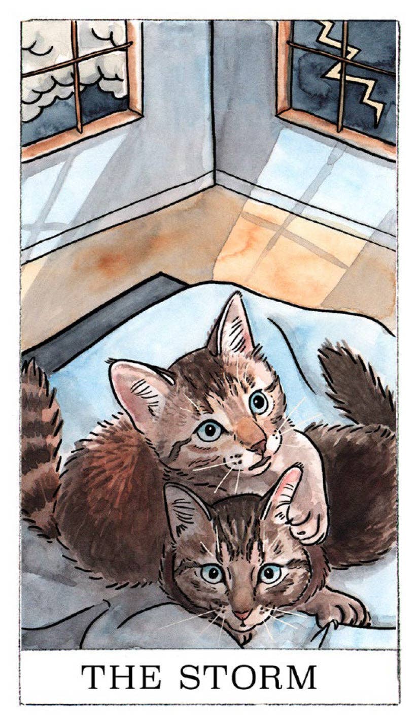 Kitten Oracle deck card titled THE STORM with two cats cuddling and lightning in the background.