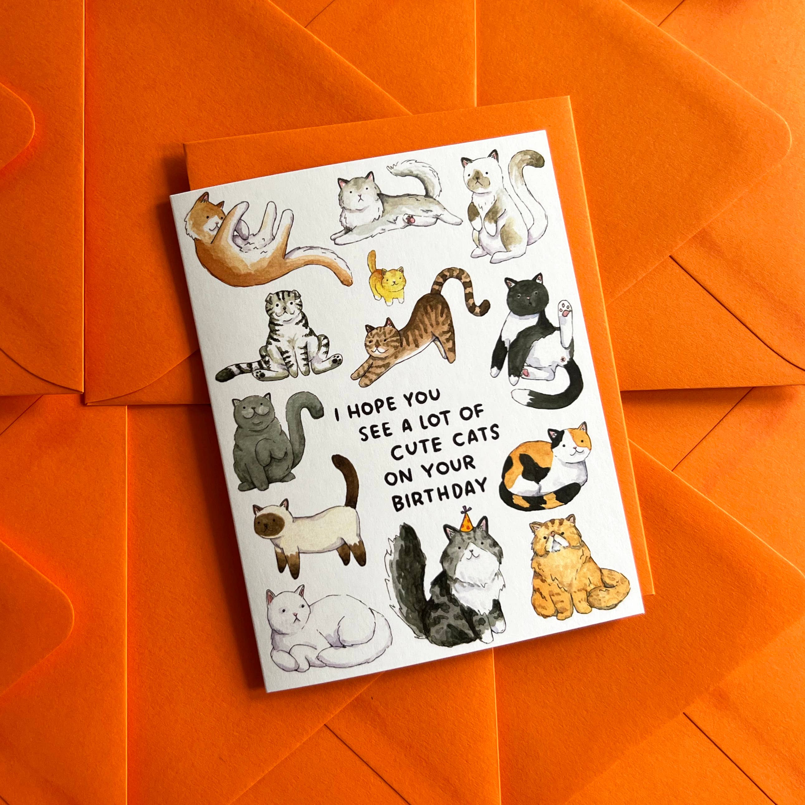 Hope You See A Lot Of Cute Cats Birthday Card with bright orange envelopes.