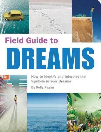 Field Guide to Dreams book cover with dream symbols and bold blue title text.