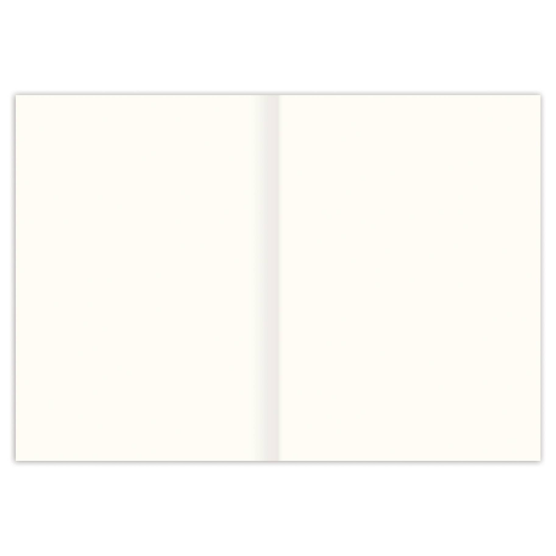 Open My Dear Friend Hedgehog Friendship Card with two blank white pages and a faint center crease, made in the USA.