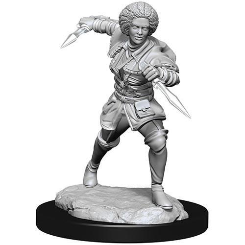 D&D Nolzur's Marvelous Unpainted Miniatures