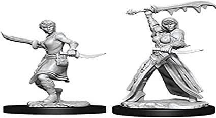 WizKids Deep Cuts Human Rogue miniatures, two figures armored and holding swords with determined expressions.