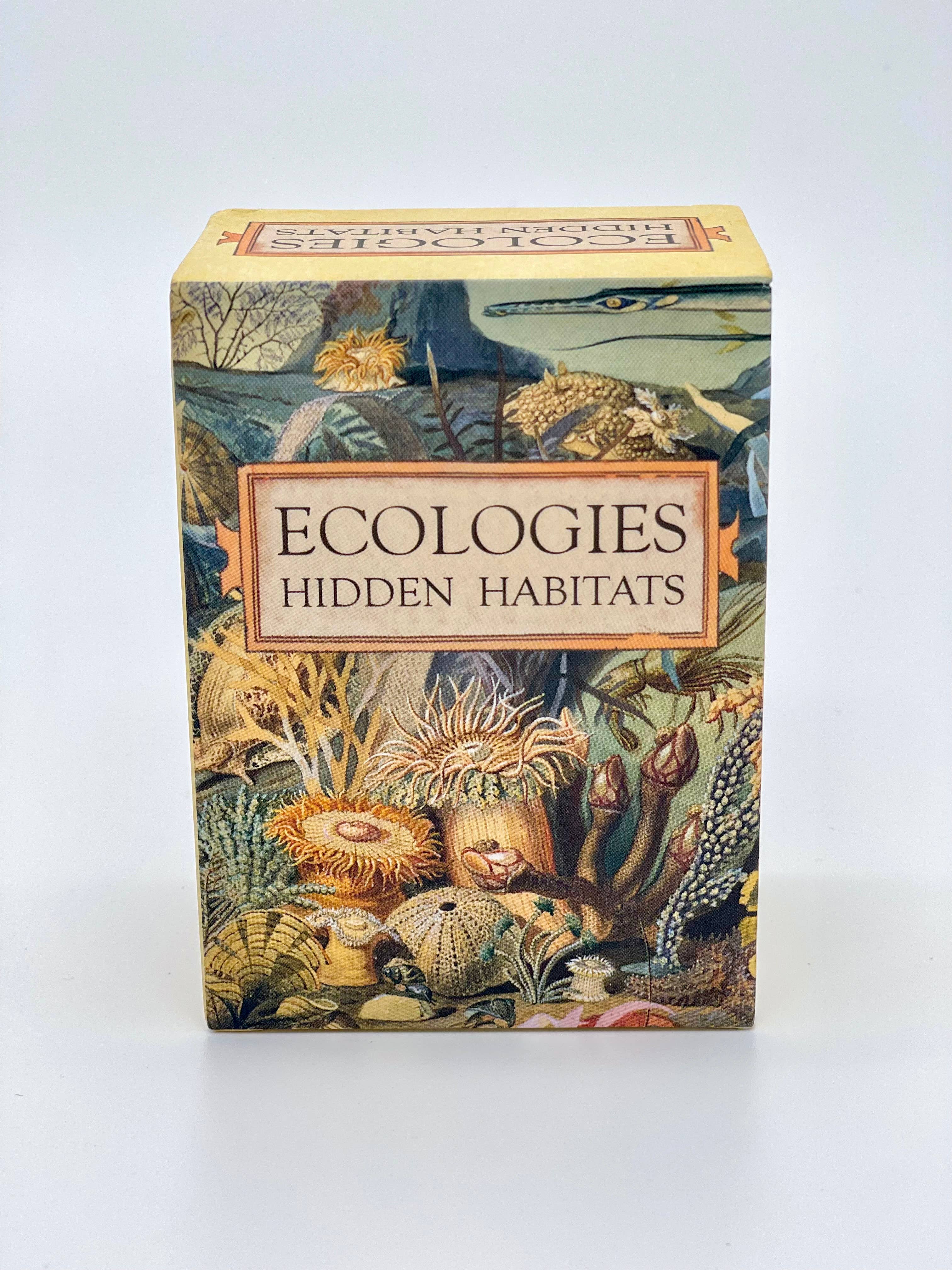 Ecologies: Hidden Habitats Card Game box with illustrations of food webs and sea creatures on the packaging.