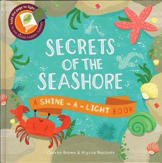 Shine-A-Light, Secrets of the Seashore children’s book cover with crab, seaweed, and shells.