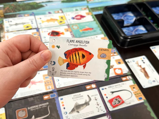 Finspan: Sharks & Reefs Expansion card held above an ocean-themed fish card game.