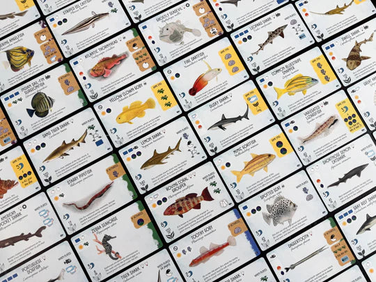 Finspan: Sharks & Reefs Expansion card set with illustrated fish and shark species.