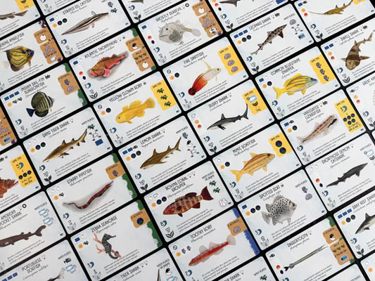 Finspan: Sharks & Reefs Expansion card set with illustrated fish and shark species.