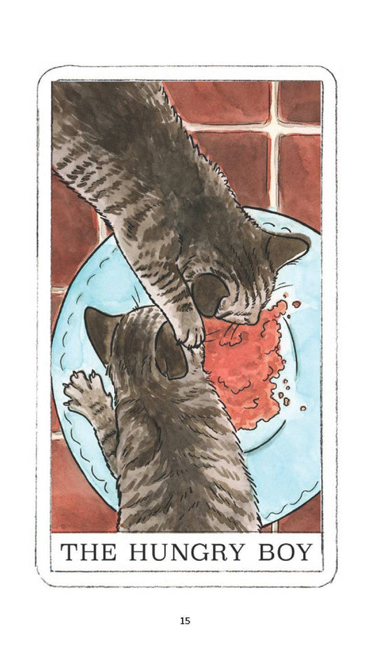 Kitten Oracle cat tarot deck with two tabby cats eating from a blue plate and text reading KITTEN ORACLE.