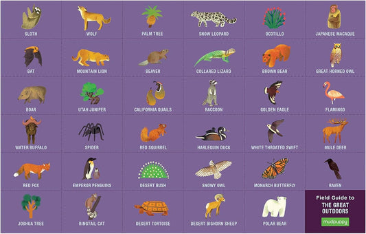 Great Outdoors 64 piece Search and Find Puzzle featuring grid of illustrated animals, birds, and trees.
