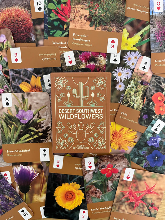 Desert Southwest Wildflowers Deck of playing cards featuring Southwest wildflowers and cactus, with matching deck box.