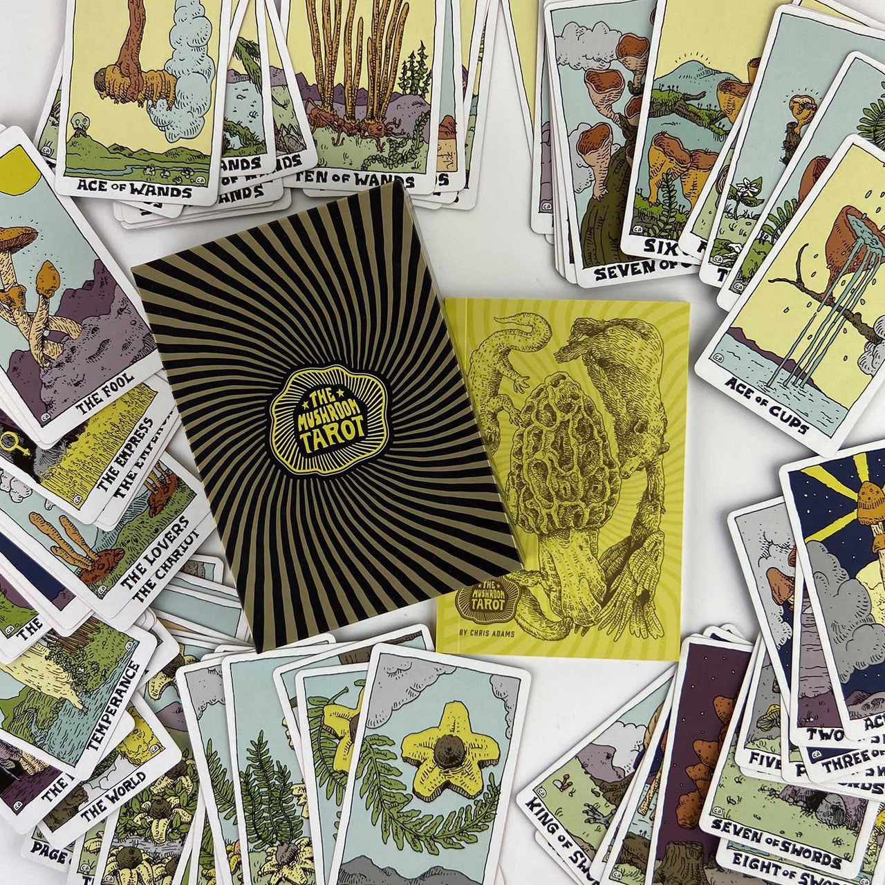 The Mushroom Tarot limited edition deck and guidebook on a white surface.