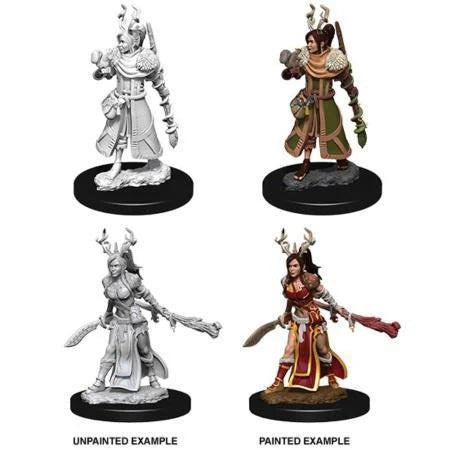 D&D Nolzurs Unpainted Miniatures Female Human Druid, displayed unpainted and painted, for painting and customization.