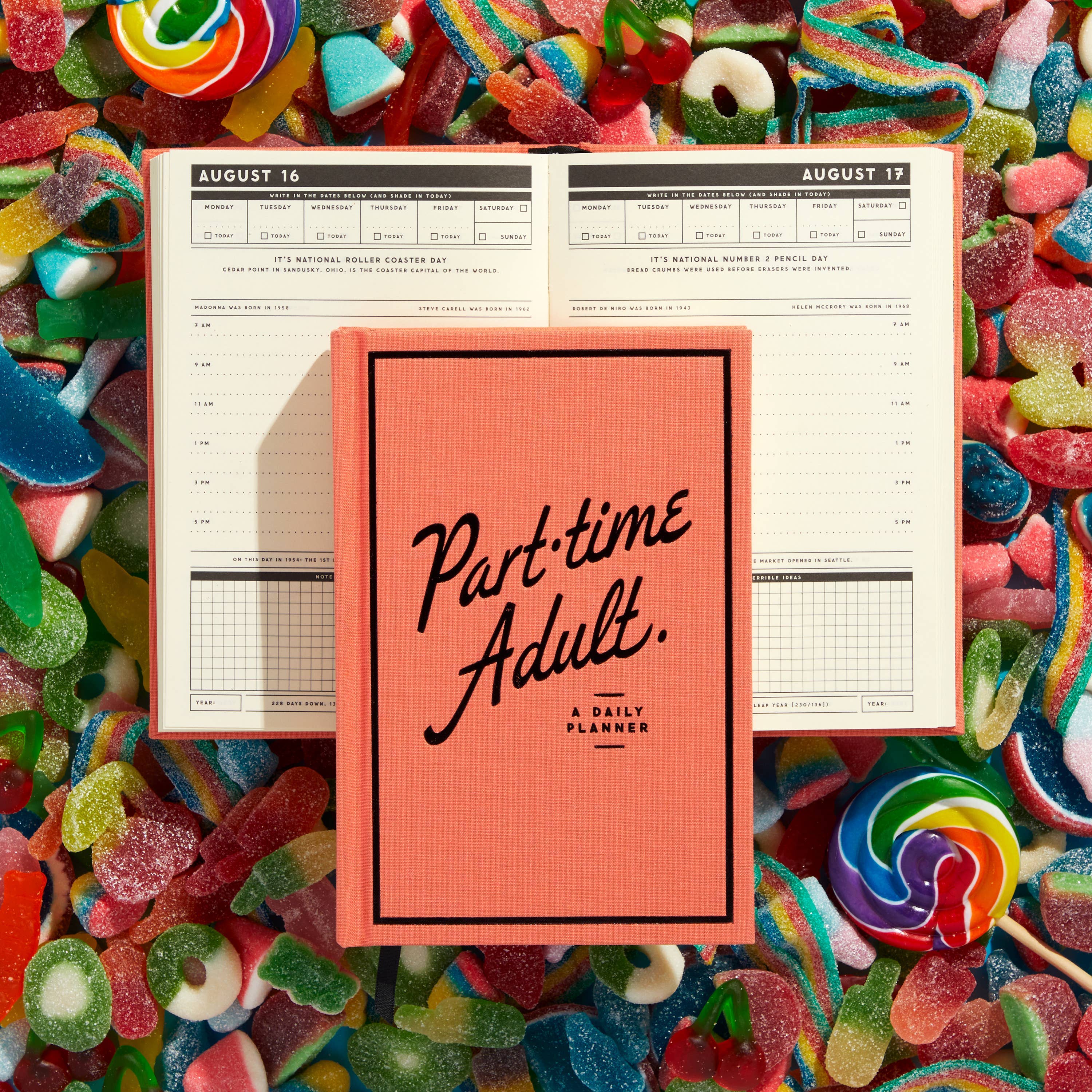 Brass Monkey Part-Time Adult Undated Daily Planner open to August 16-17.
