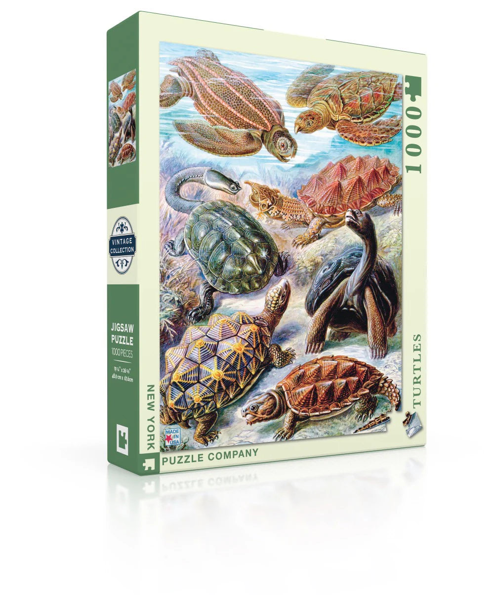 Gamelandia