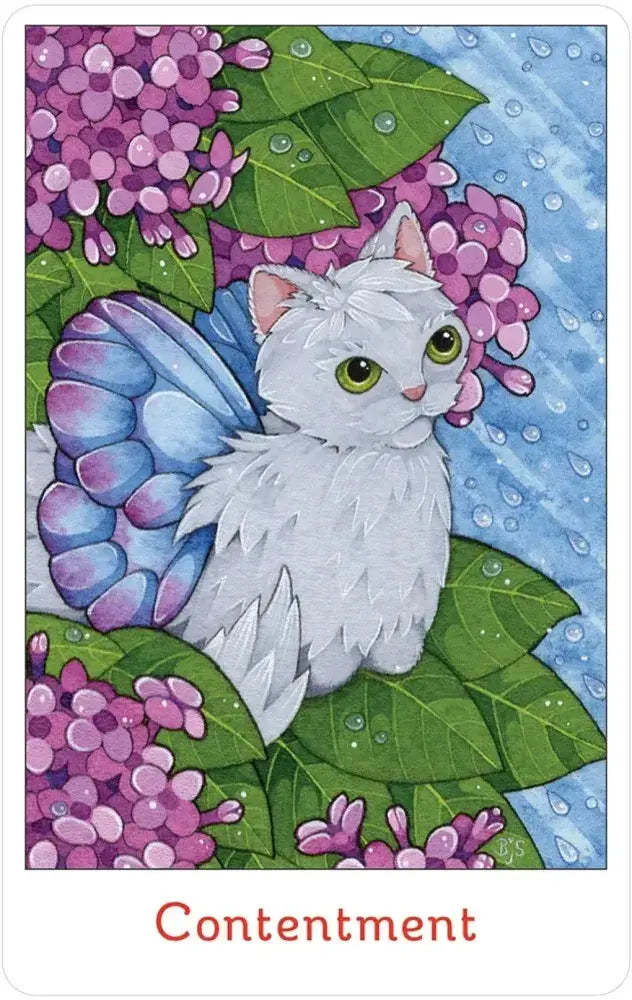Affirmations of the Fairy Cats Deck and Book Set featuring a white cat with blue wings among flowers.