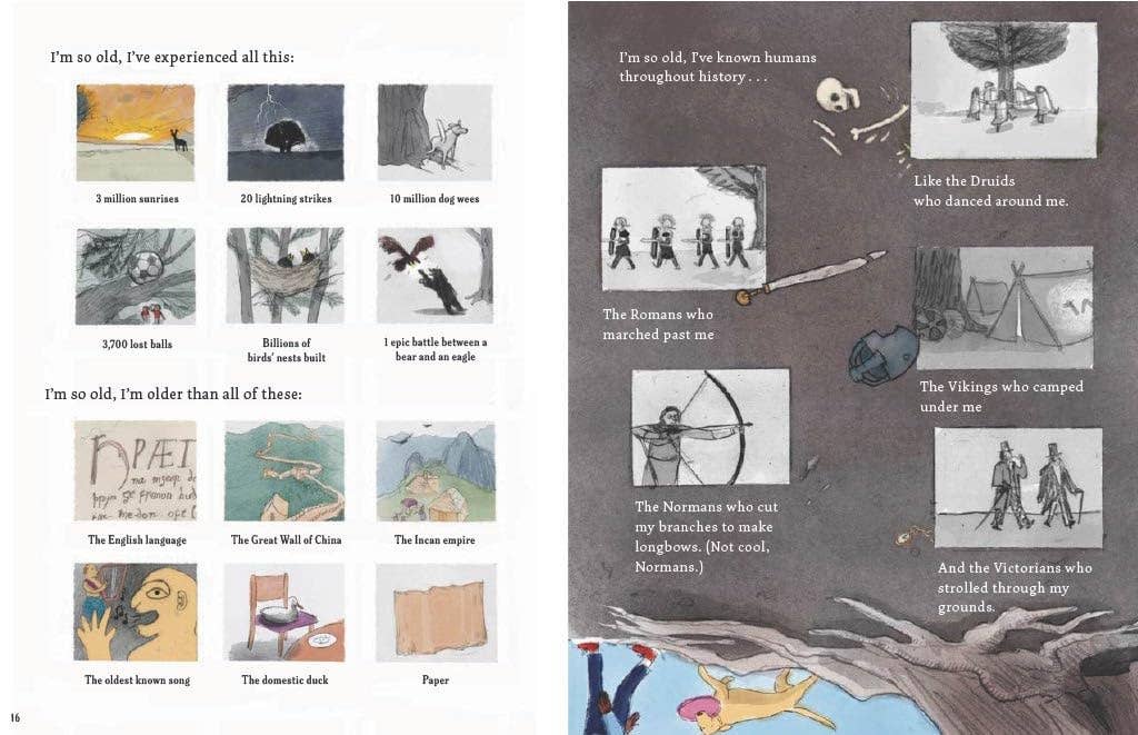 A Tree is a Time Machine book spread showing text on age, time, and drawings of history, animals, ancient people.