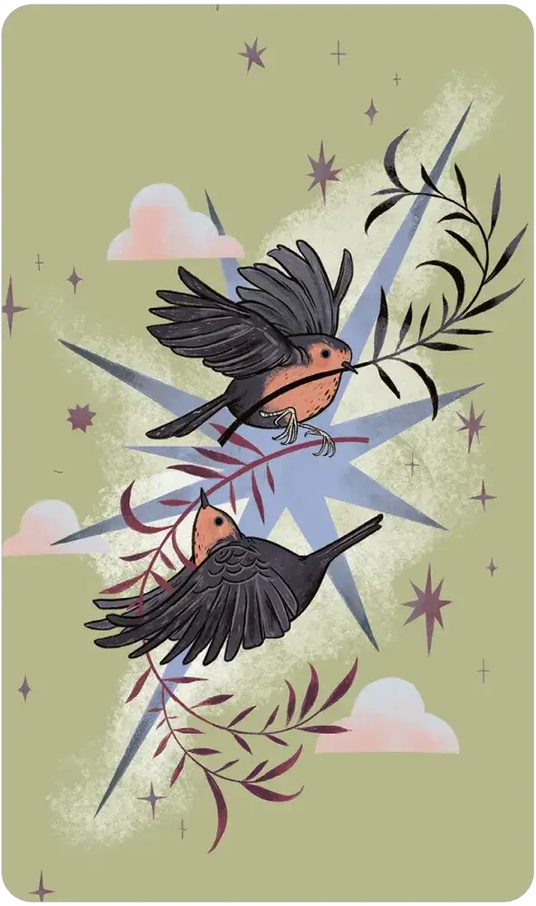 Herbana Witch Oracle deck with green cover featuring two birds above clouds and celestial designs.