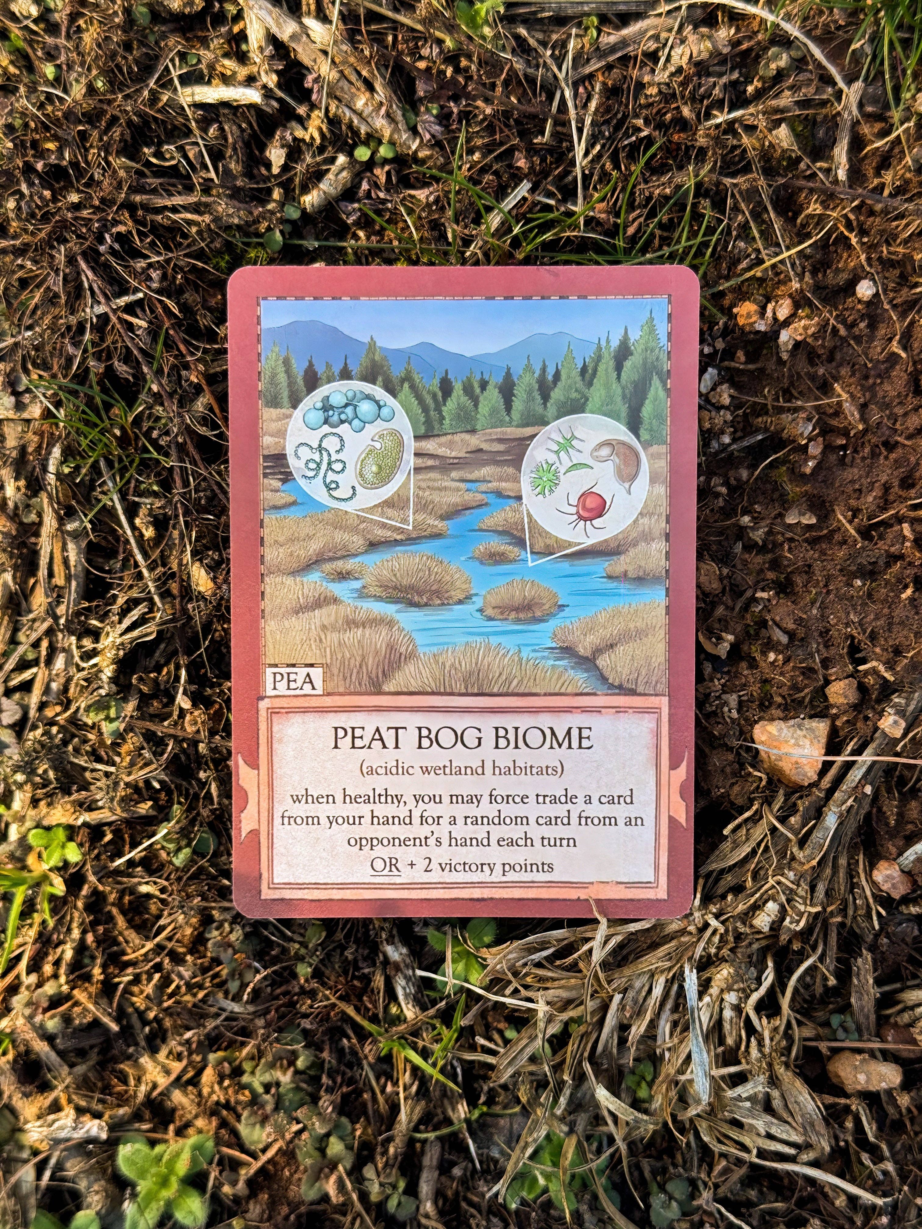 Ecologies: Marvelous Microbes Peat Bog Biome card featuring grass, soil, and microscopic food web illustrations.