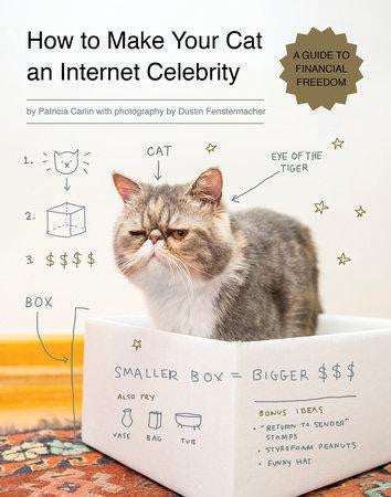 Book titled How To Make Your Cat An Internet Celebrity - A Guide to Financial Freedom with a cat in a white box.