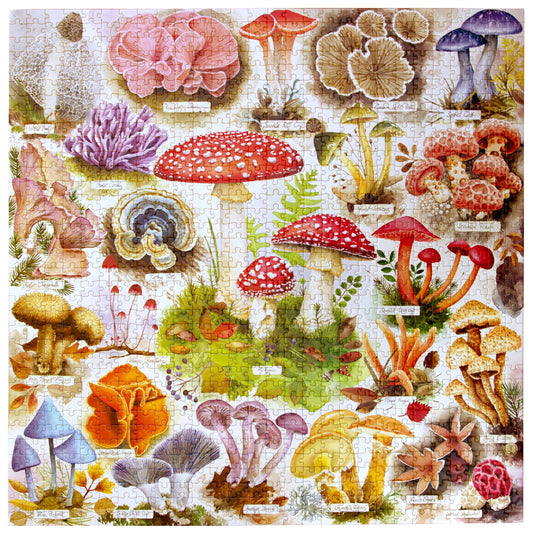 Bountiful Mushrooms 1000 Piece Puzzle featuring watercolor mushroom illustrations with names on a white background.