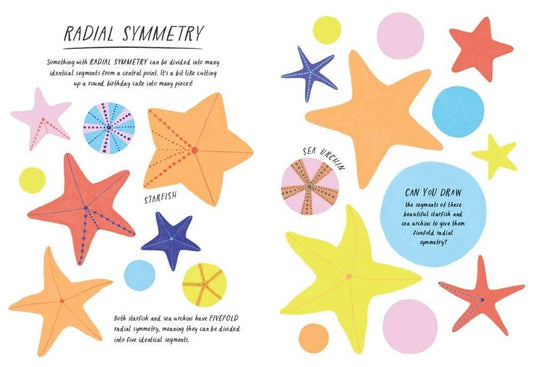 Drawn by Nature: Patterns coloring and art activity book featuring starfish and sea urchin designs.