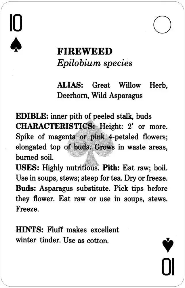 Edible Wild Foods Playing Cards, 10 of spades card with Fireweed uses, edible parts, and preparation tips.