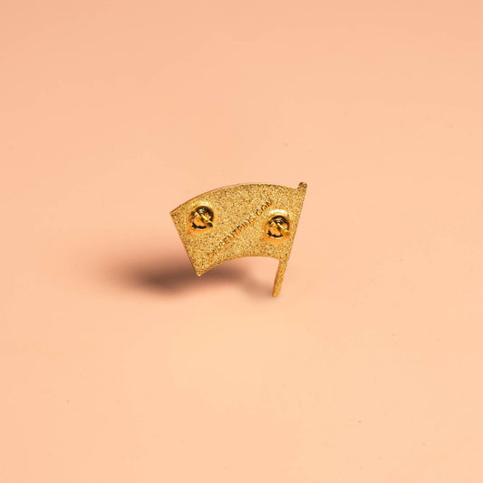 Pride Flag Pin with gold texture and two butterfly clasps.