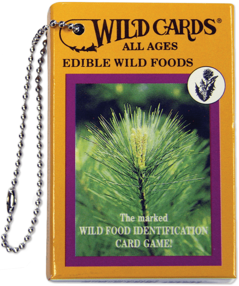Edible Wild Foods Playing Cards in an orange box with pine tree photo, attached to a plant ID card chain.
