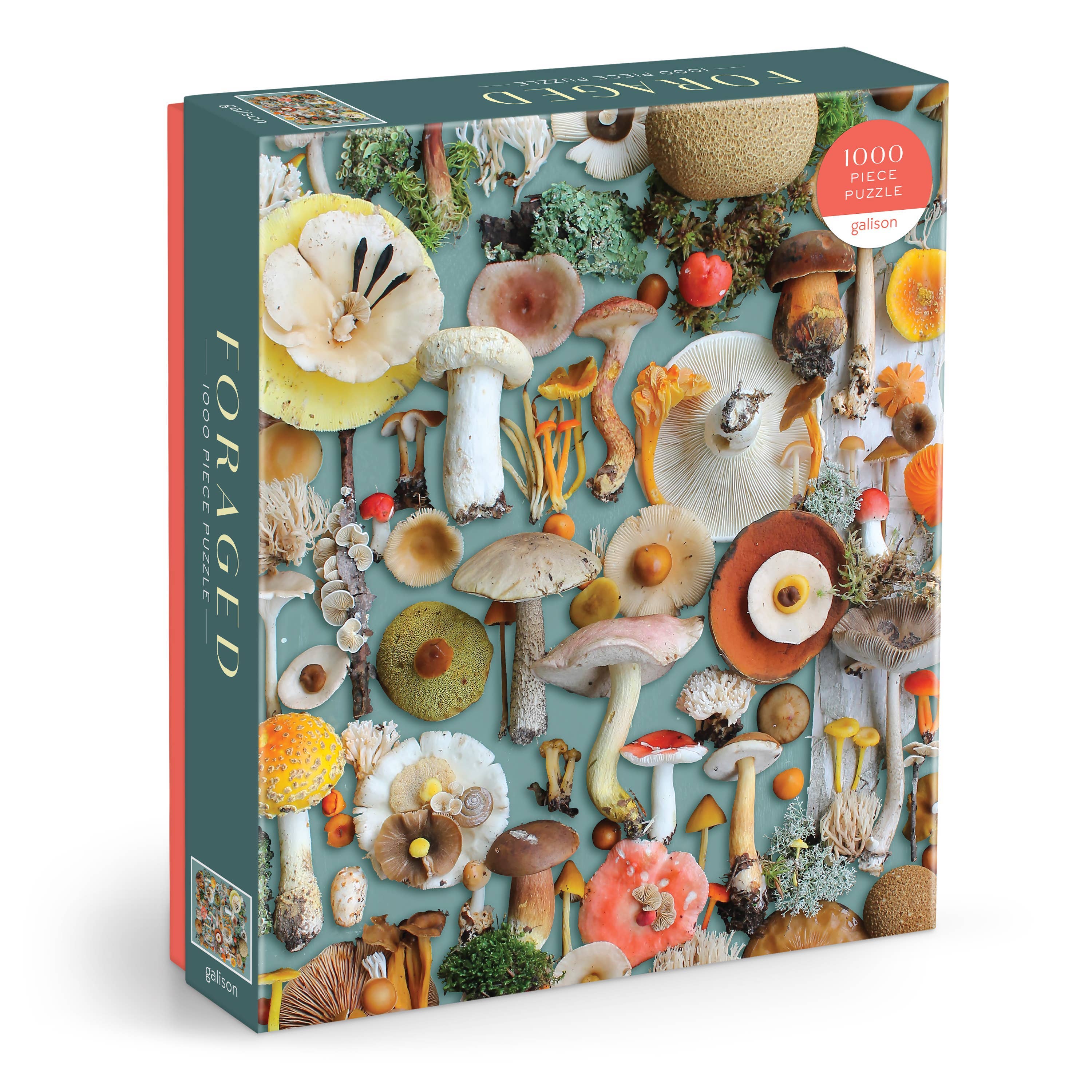 Foraged 1000 piece puzzle featuring mushrooms and plants on teal background, made from recycled paper.