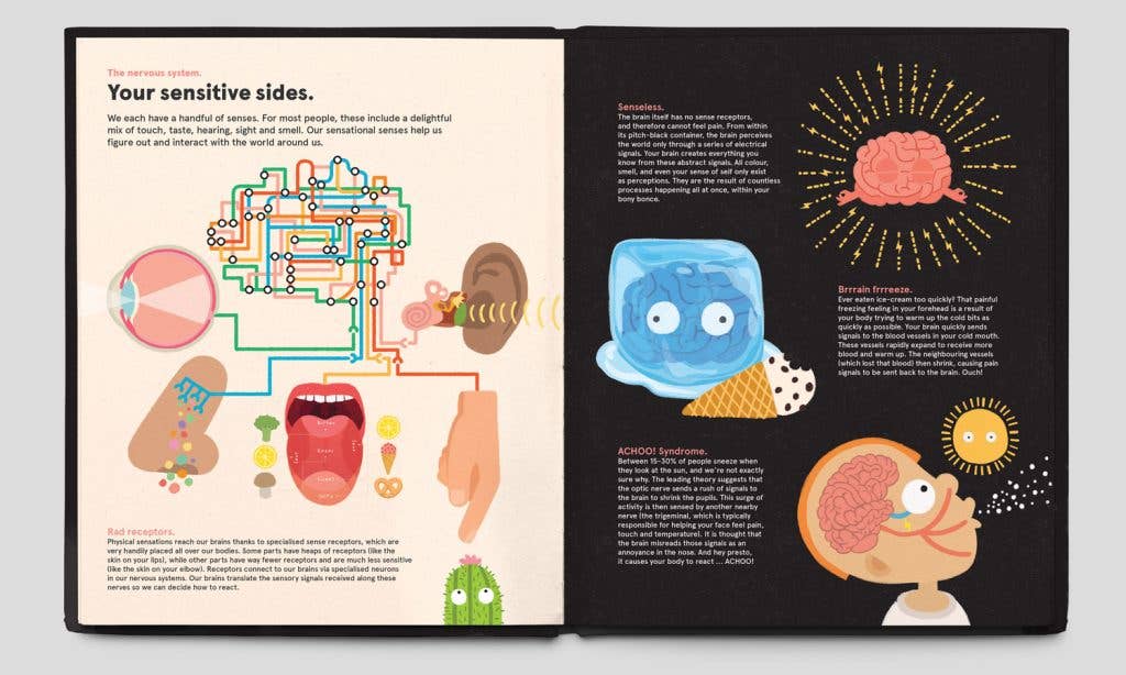 Infographic from Your Brilliant Brain displaying the human brain, nerves, and sensory organs.