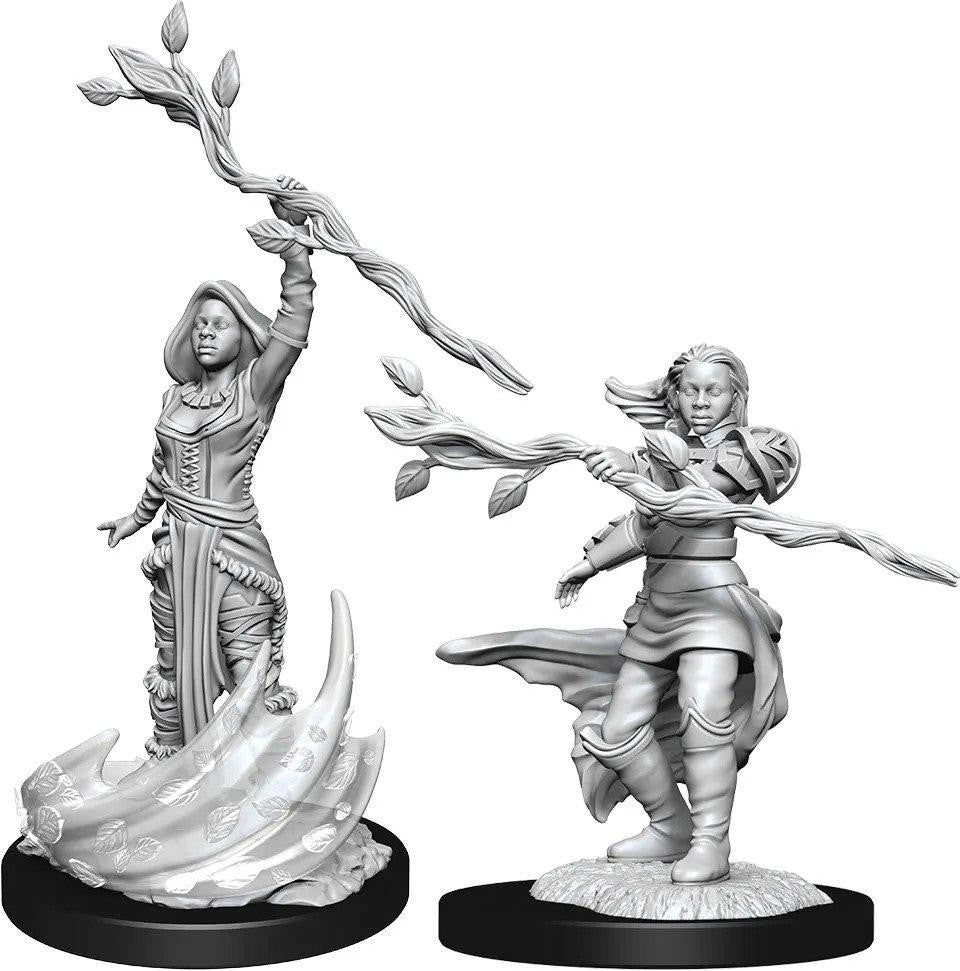 D&D NMU Human Druid Female W14 miniatures, both holding leafy staffs, on round bases.