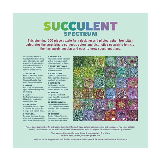 The Succulent Spectrum 500 Piece Puzzle by Galison with 25 labeled succulent photos on a pastel grid.