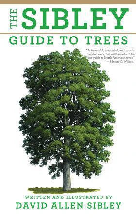 The Sibley Guide to Trees book cover with North American tree illustration on white background.